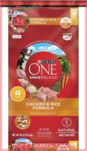 Purina ONE Chicken and Rice