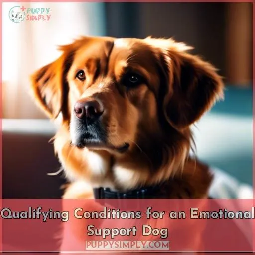 Qualifying Conditions for an Emotional Support Dog