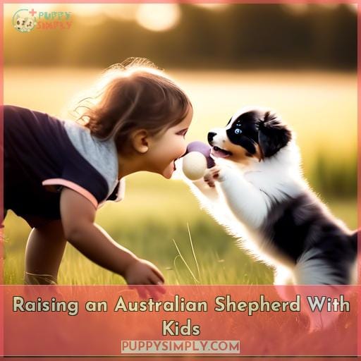 Raising an Australian Shepherd With Kids