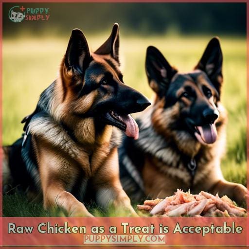Raw Chicken as a Treat is Acceptable