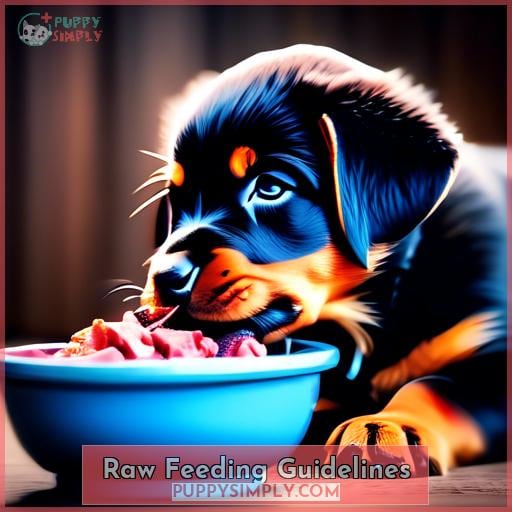 Raw Feeding Guidelines