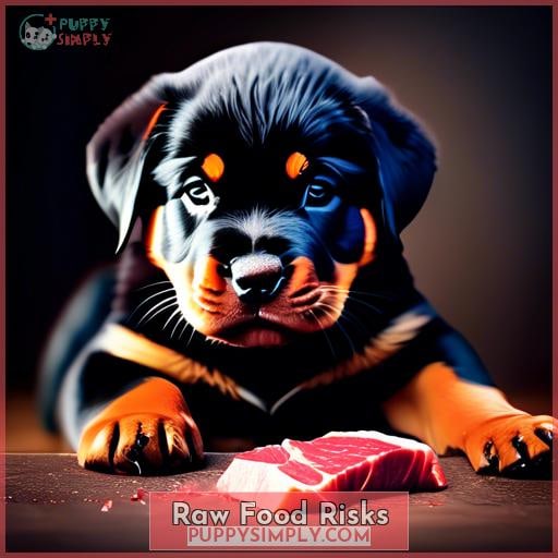 Raw Food Risks