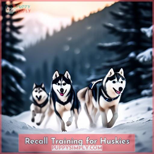 Recall Training for Huskies
