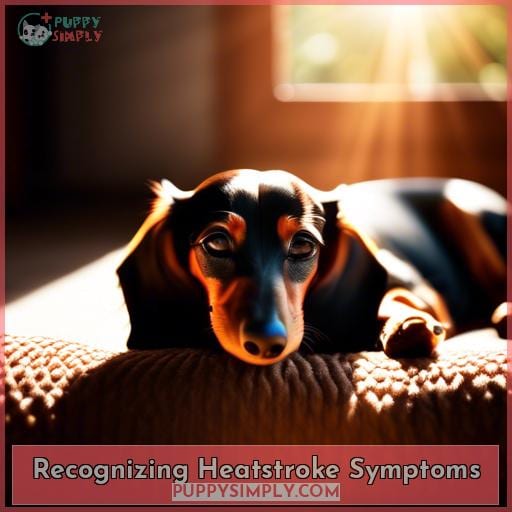 Recognizing Heatstroke Symptoms Recognizing Heatstroke Symptoms