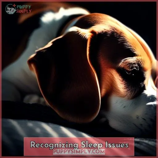 Recognizing Sleep Issues