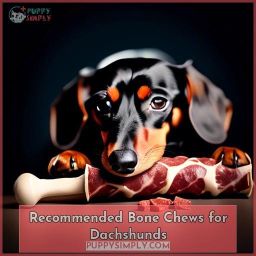 Recommended Bone Chews for Dachshunds