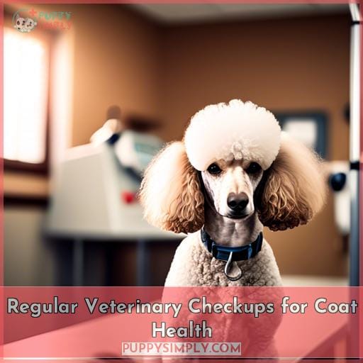Regular Veterinary Checkups for Coat Health