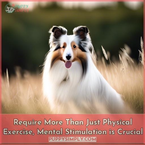 Require More Than Just Physical Exercise, Mental Stimulation is Crucial