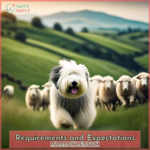 Requirements and Expectations Requirements and Expectations