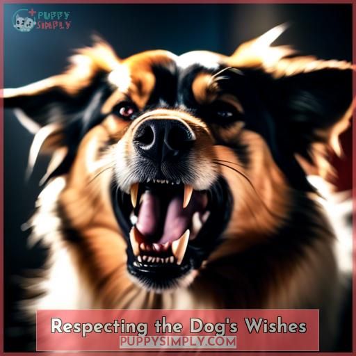 Respecting the Dog