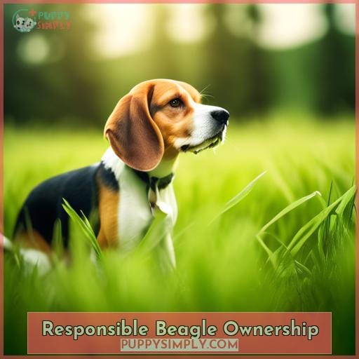Responsible Beagle Ownership