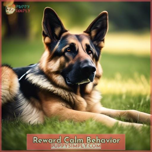 Reward Calm Behavior