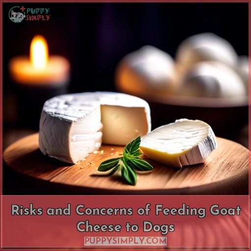 Risks and Concerns of Feeding Goat Cheese to Dogs