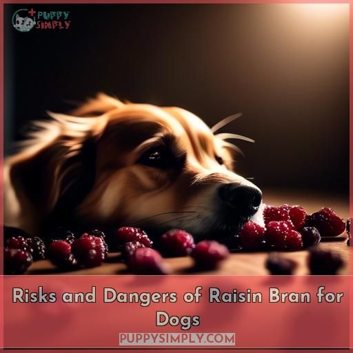 Risks and Dangers of Raisin Bran for Dogs
