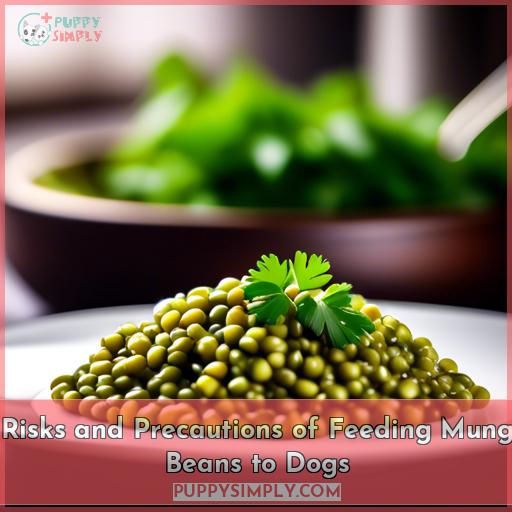 Risks and Precautions of Feeding Mung Beans to Dogs