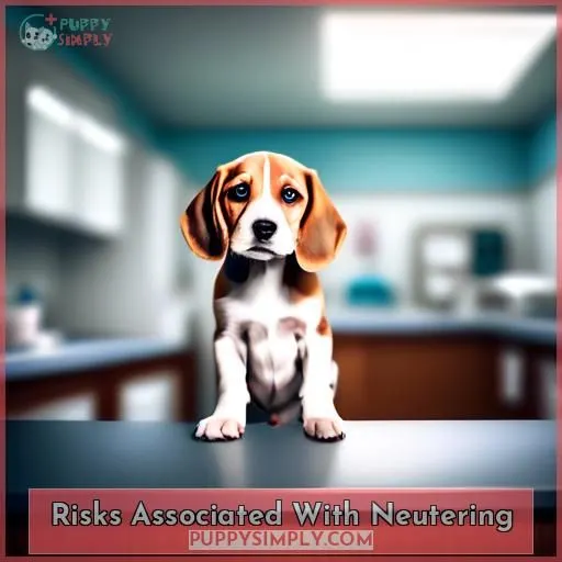 Risks Associated With Neutering