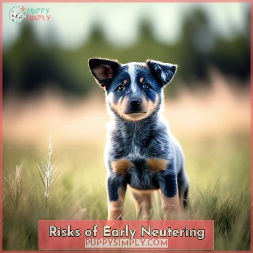 Risks of Early Neutering