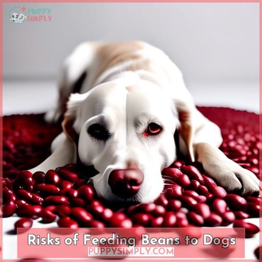 Risks of Feeding Beans to Dogs