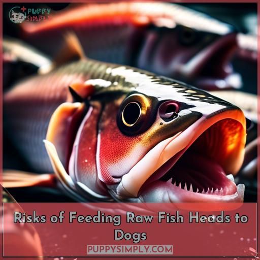 Risks of Feeding Raw Fish Heads to Dogs
