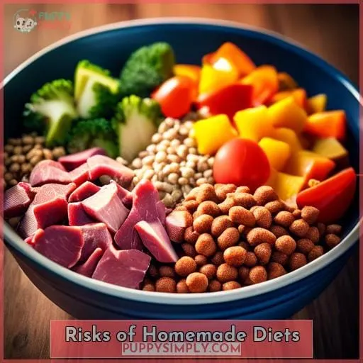 Risks of Homemade Diets