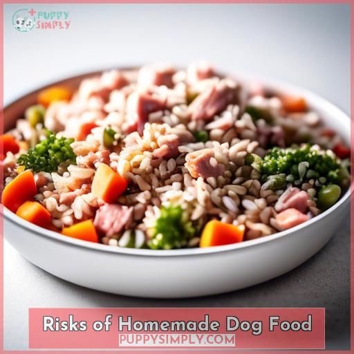 Risks of Homemade Dog Food