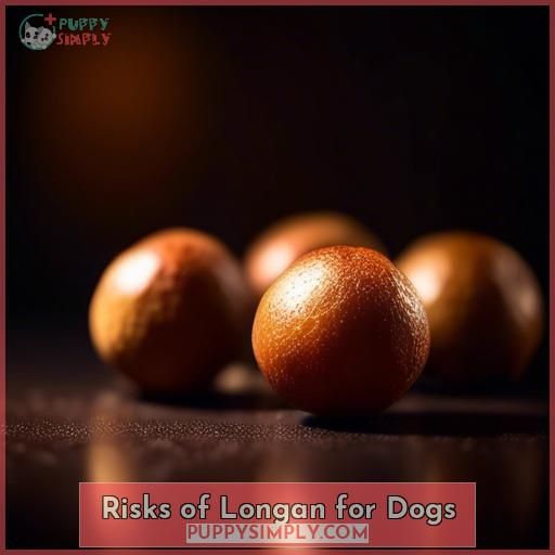 Risks of Longan for Dogs