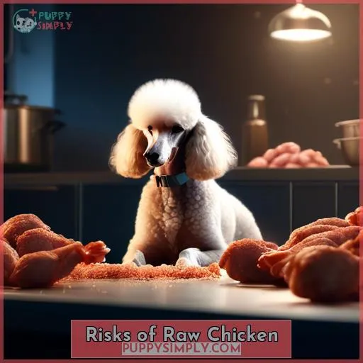 Risks of Raw Chicken