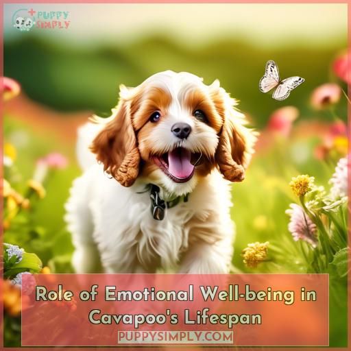 Role of Emotional Well-being in Cavapoo's Lifespan