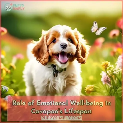 Role of Emotional Well-being in Cavapoo