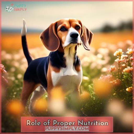 Role of Proper Nutrition