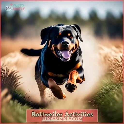 Rottweiler Activities