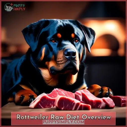 Rottweiler Raw Diet Overview