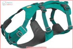 Ruffwear, Flagline Dog Harness, Lightweight B07SKX6R8T