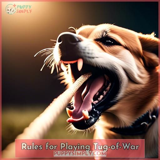 Rules for Playing Tug-of-War