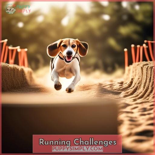Running Challenges