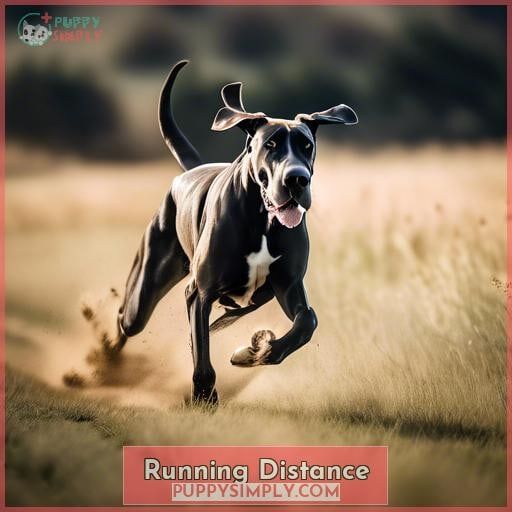 Running Distance Running Distance