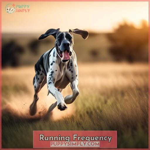 Running Frequency Running Frequency