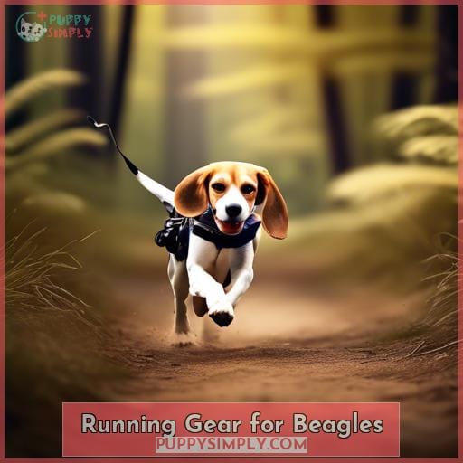 Running Gear for Beagles