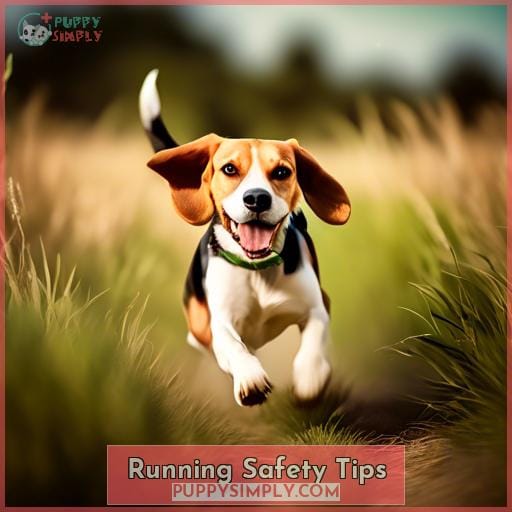 Running Safety Tips