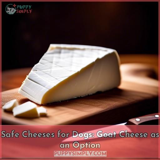 Safe Cheeses for Dogs: Goat Cheese as an Option
