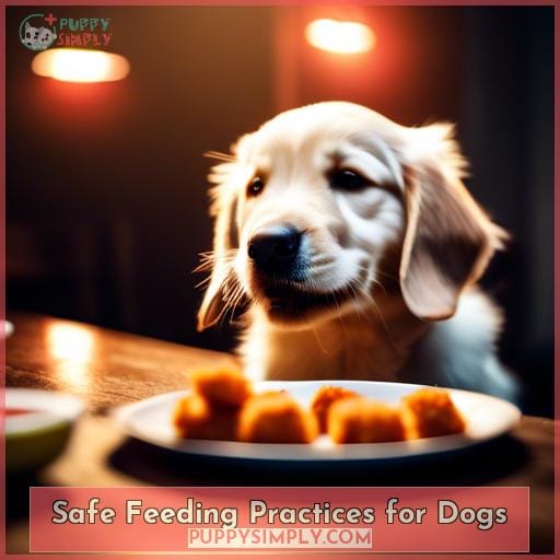 Safe Feeding Practices for Dogs