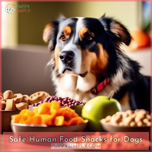 Safe Human Food Snacks for Dogs