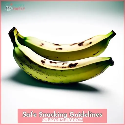 Safe Snacking Guidelines