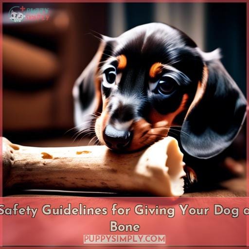 Safety Guidelines for Giving Your Dog a Bone