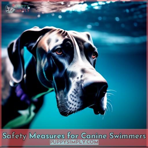 Safety Measures for Canine Swimmers