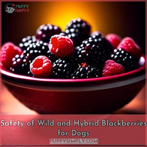 Safety of Wild and Hybrid Blackberries for Dogs