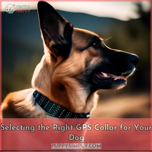 Selecting the Right GPS Collar for Your Dog