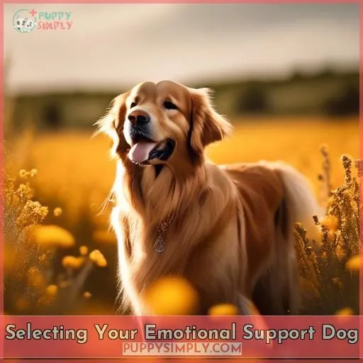 Selecting Your Emotional Support Dog