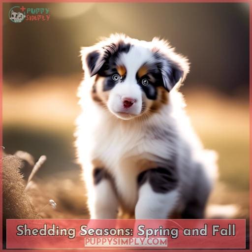 Shedding Seasons: Spring and Fall