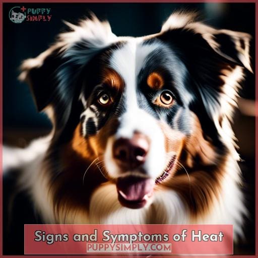 Signs and Symptoms of Heat